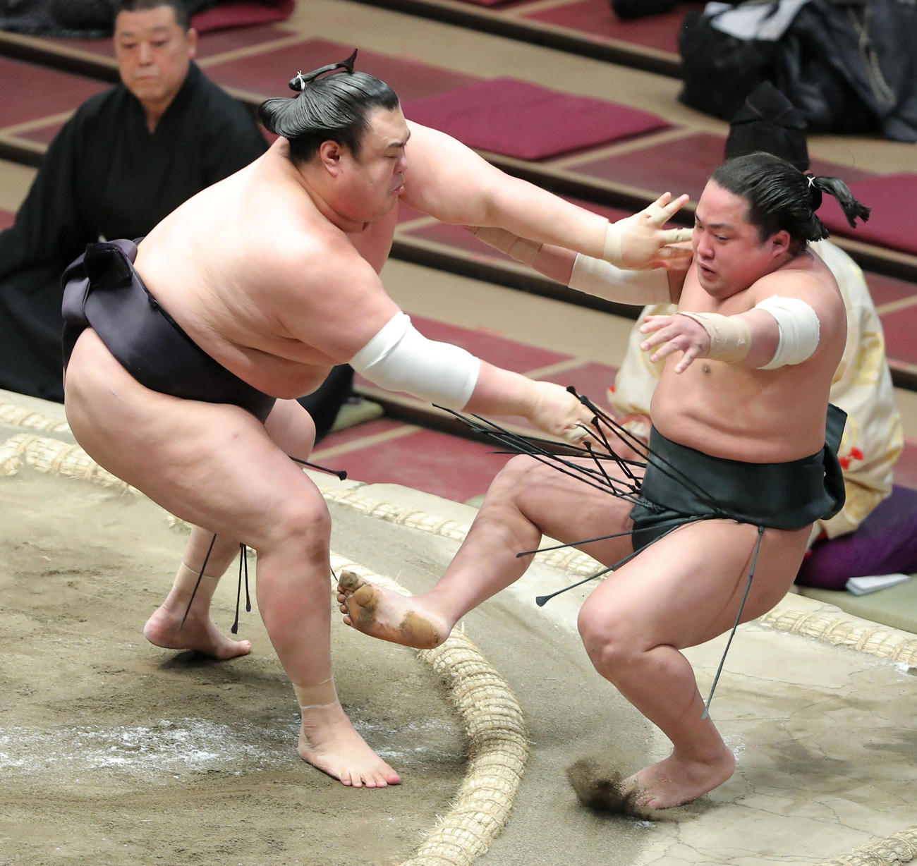 翠富士（右）を押し倒しで破る英乃海（撮影・河田真司）