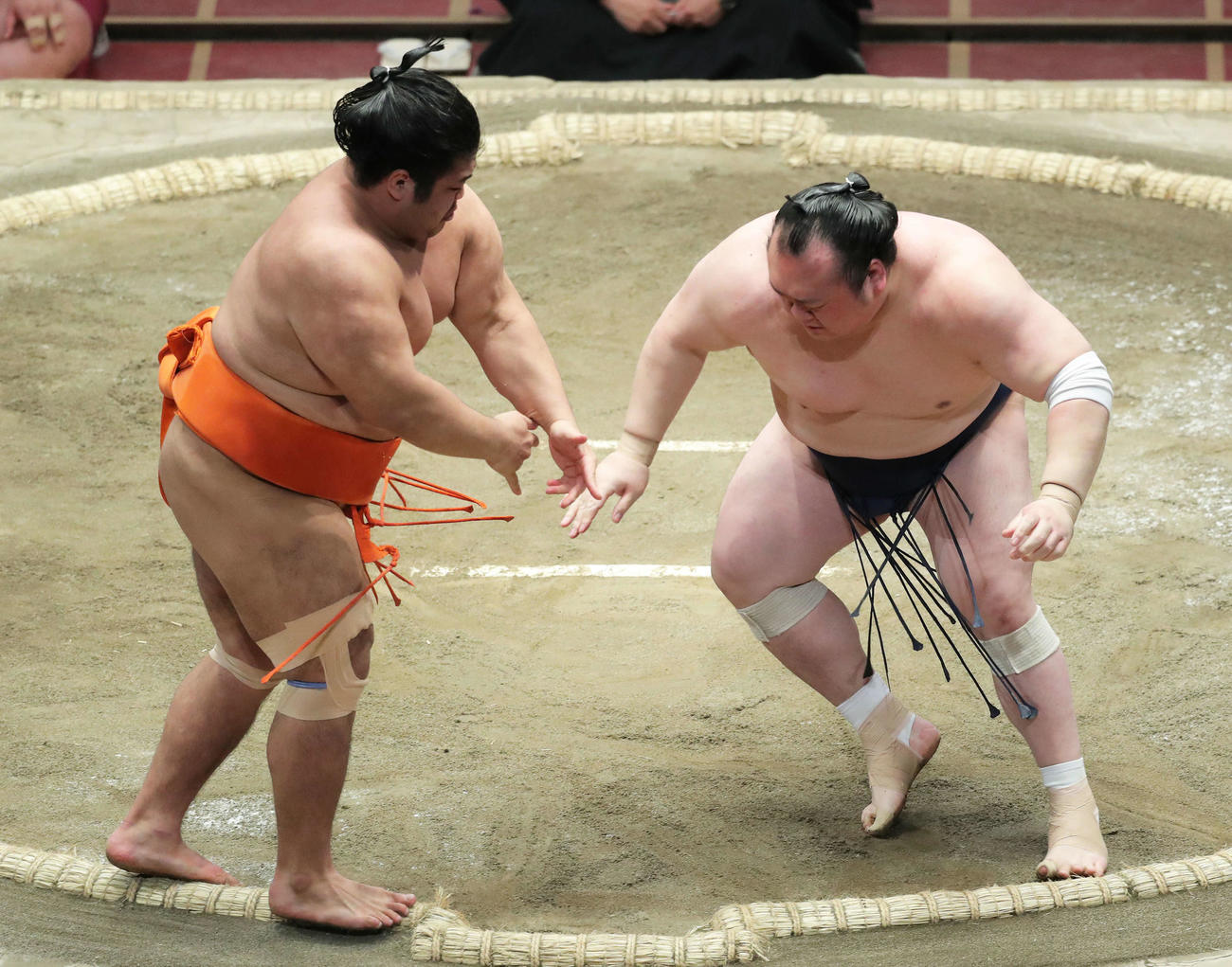 志摩ノ海（左）を押し出しで破る宝富士（撮影・河田真司）