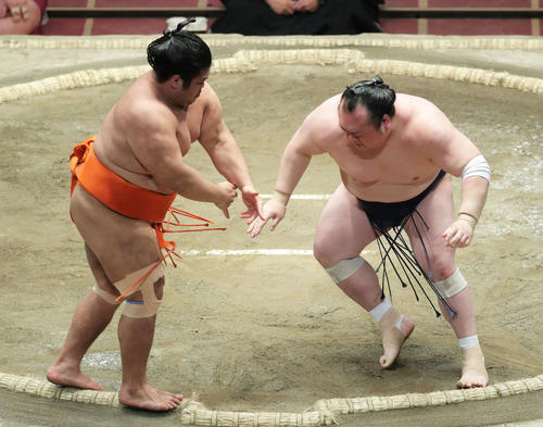 志摩ノ海（左）を押し出しで破る宝富士（撮影・河田真司）