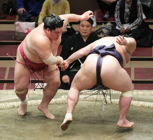 阿武咲（右）を突き落としで破る大栄翔（撮影・河田真司）