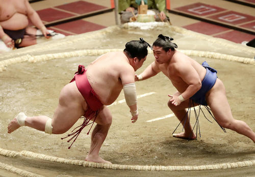 大栄翔（左）をはたき込みで破った若隆景（撮影・丹羽敏通）