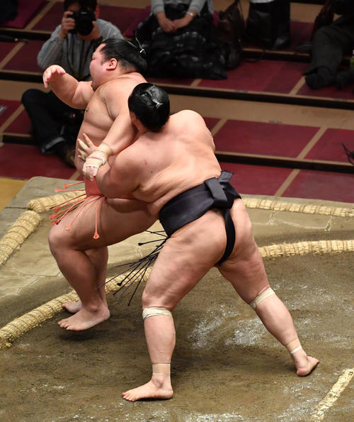 英乃海（右）は千代大龍を送り出しで破る（撮影・柴田隆二）