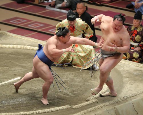 北勝富士（右）を押し出しで破る若隆景（撮影・河田真司）