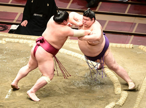 大栄翔（左）は明瀬山を突き出しで破る（撮影・小沢裕）