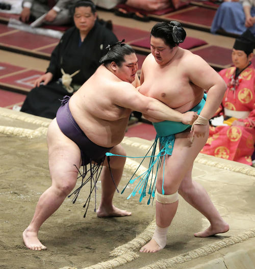 琴ノ若（右）を寄り切りで破る大奄美（撮影・河田真司）