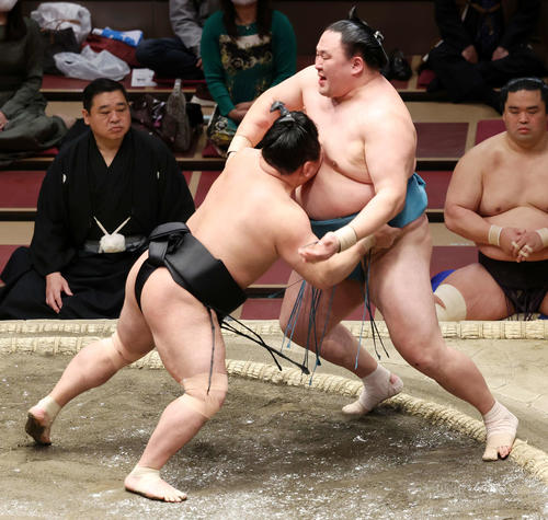 玉鷲（右）を寄り切りで破る照強（撮影・鈴木正人）