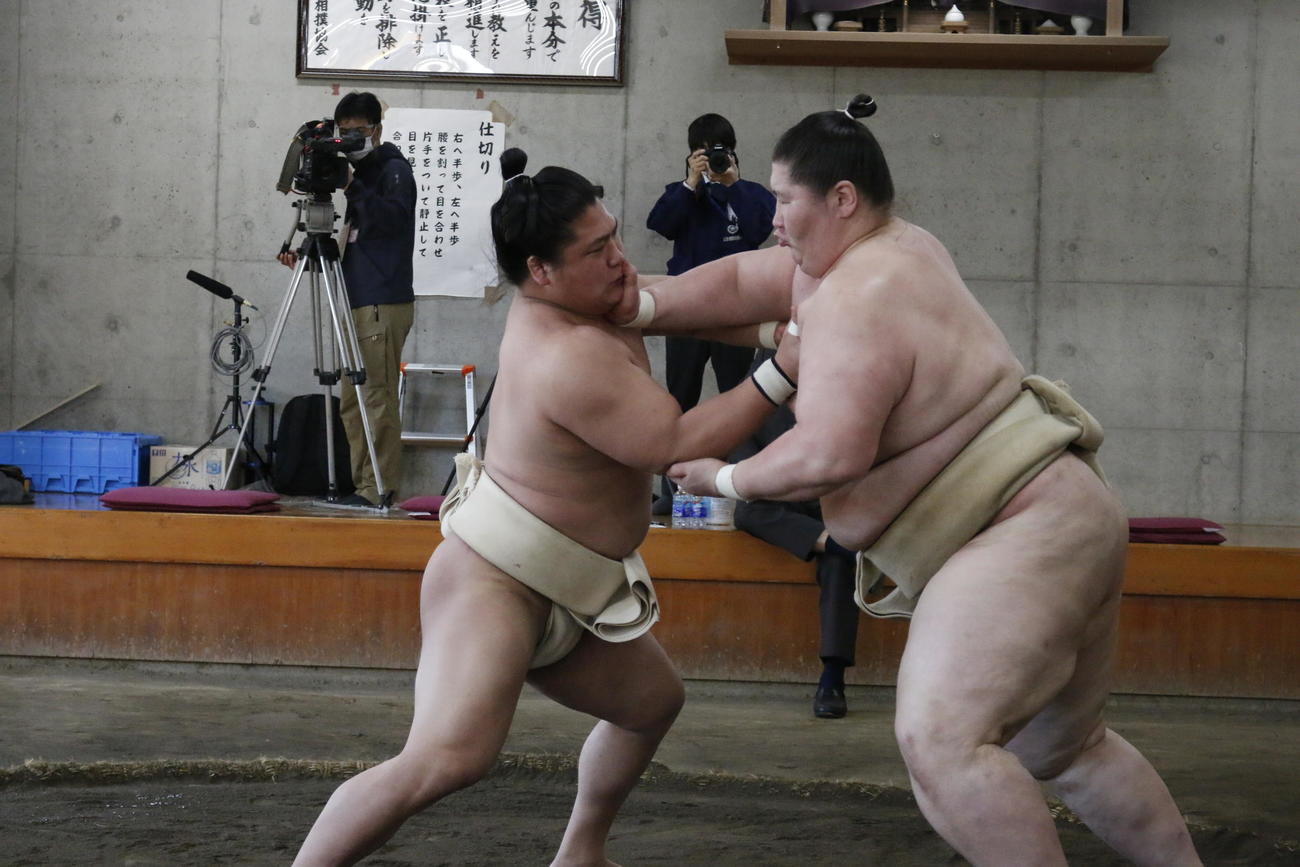 夏場所に向けた合同稽古に参加し、関取衆との申し合いで逸ノ城と相撲を取る若隆景（左）（撮影・佐藤礼征）