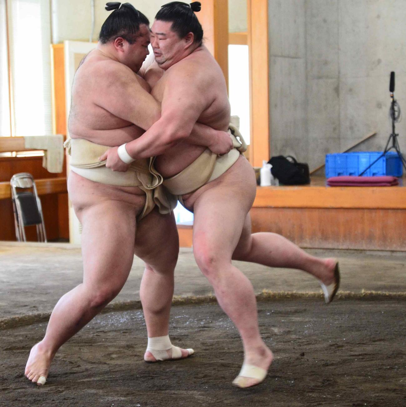 夏場所に向けた合同稽古で朝乃山と三番稽古を行い、寄り立てる正代（右）（代表撮影）