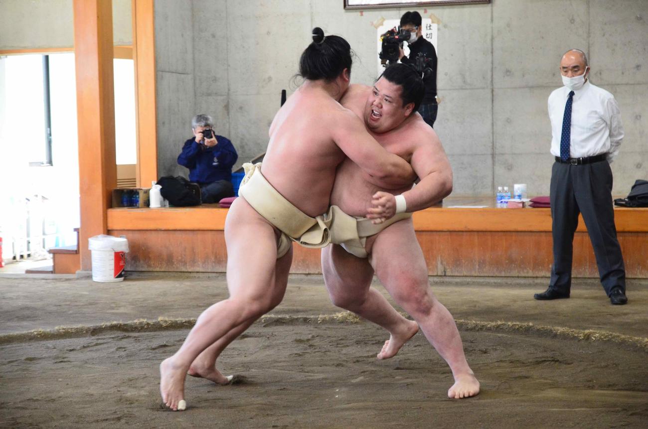 夏場所に向けた合同稽古で関取衆との申し合いに参加した阿武咲（右）（代表撮影）