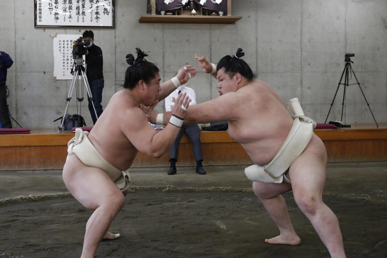 夏場所に向けた合同稽古で関取衆との申し合いに参加した阿武咲（右）（代表撮影）