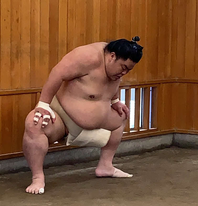 夏場所に向けて稽古に励む大栄翔（日本相撲協会提供）