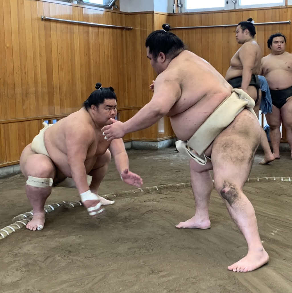 夏場所に向けて稽古に励む大栄翔（左）（日本相撲協会提供）