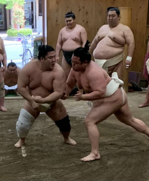 夏場所に向けて稽古に励む宇良（左）（日本相撲協会提供）
