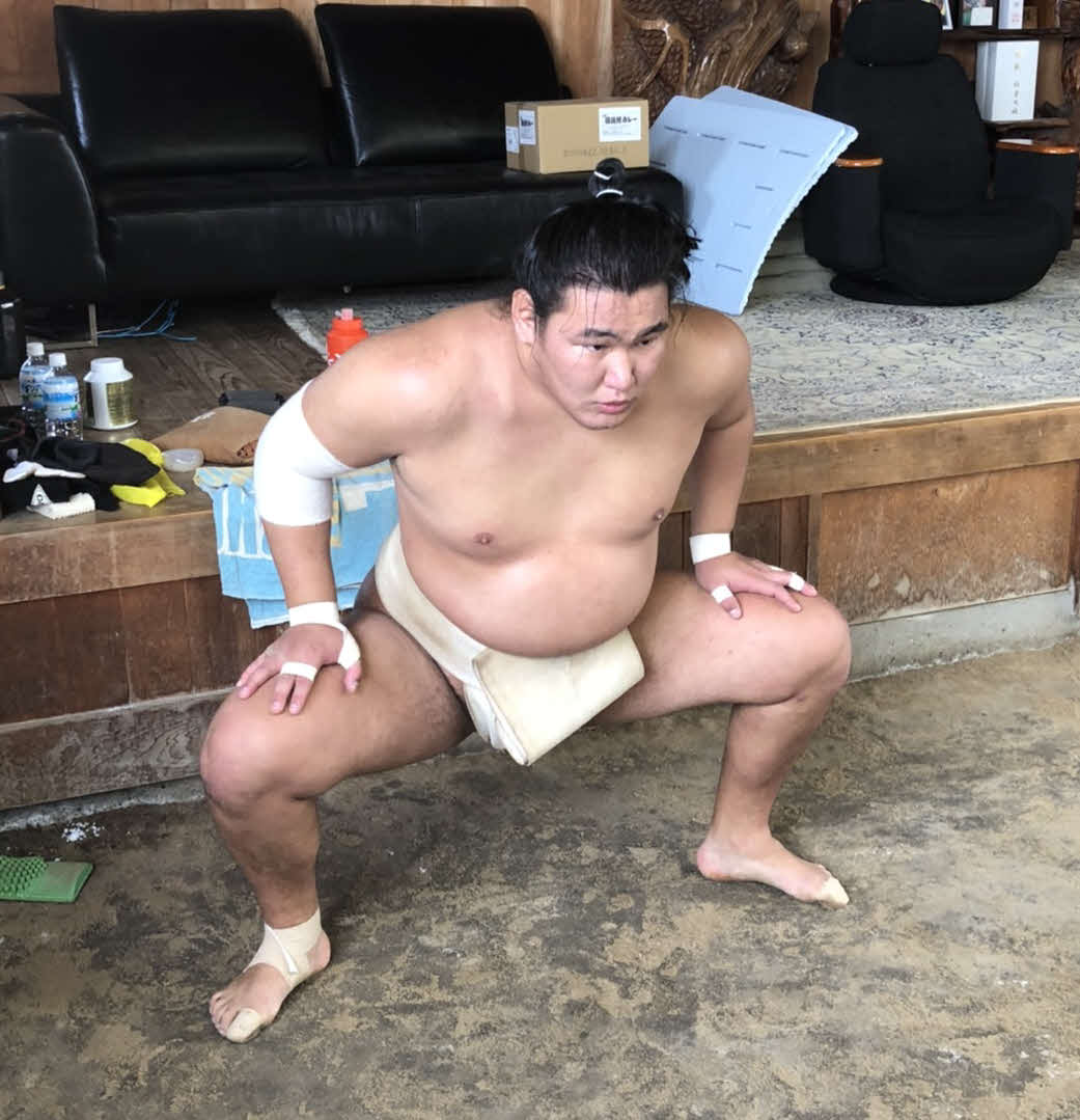 夏場所に向けて稽古に励む豊昇龍（日本相撲協会提供）