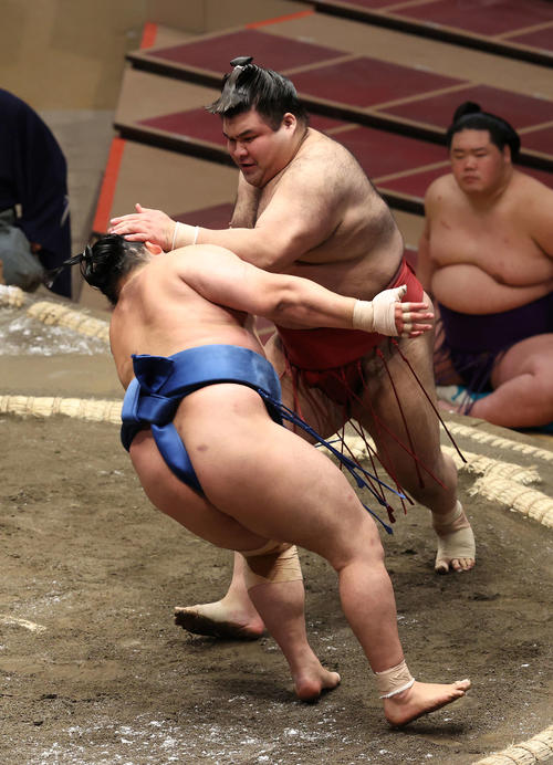 千代の国(左)を突き倒す高安(撮影・河野匠)