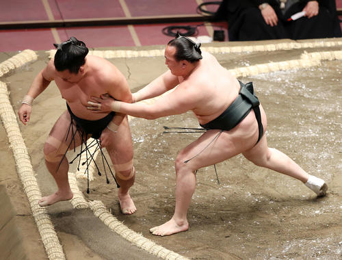 照強(左)を押し出しで破る千代翔馬(撮影・鈴木正人)