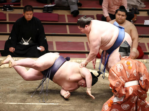 阿武咲（左）をはたき込みで破る逸ノ城（撮影・鈴木正人）