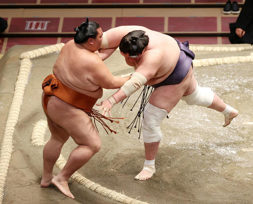 御嶽海（左）を寄り切りで破る照ノ富士（撮影・鈴木正人）