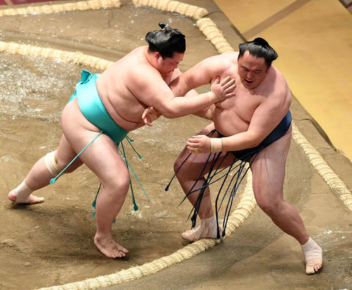 玉鷲（右）を押し出しで破る琴ノ若（撮影・滝沢徹郎）　