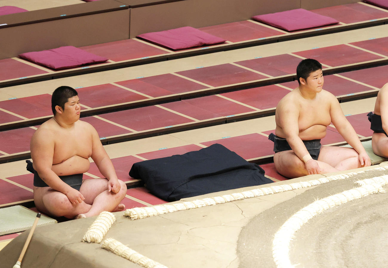 前相撲に臨む、先代時津風親方長男の木竜皇（左）と次男の春雷（撮影・河田真司）