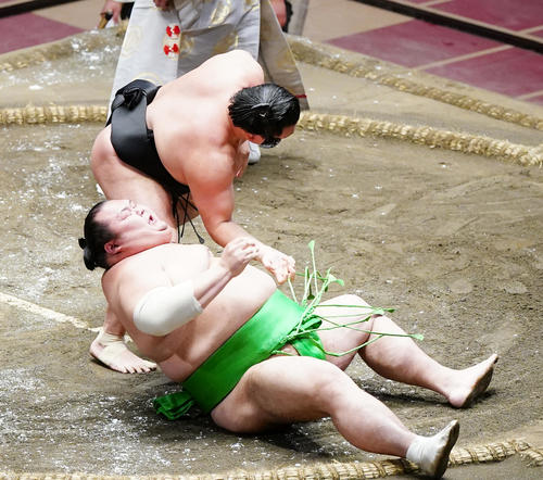千代丸(下)を下手ひねりで破る照強(撮影・菅敏)