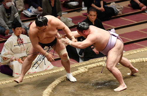 隠岐の海(左)を押し出しで破る琴恵光(撮影・滝沢徹郎)