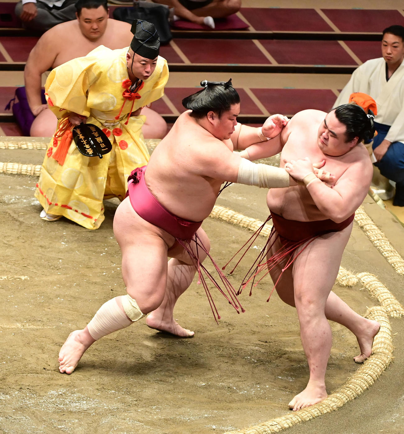 大栄翔（左）は隆の勝を押し出しで破る（撮影・小沢裕）
