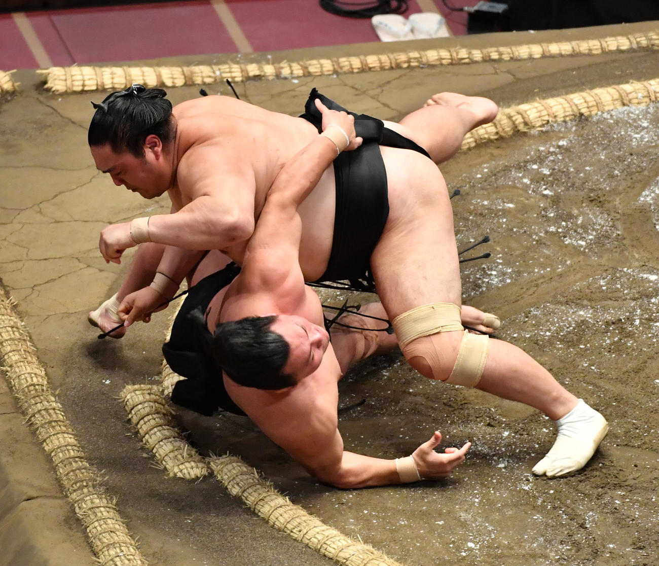 隠岐の海（上）は照強を浴びせ倒しで破る（撮影・柴田隆二）