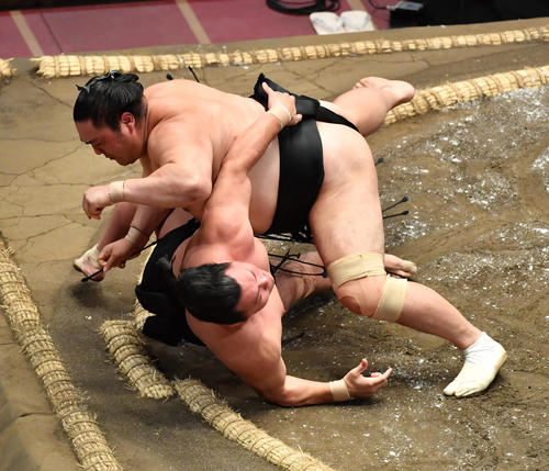 隠岐の海（上）は照強を浴びせ倒しで破る（撮影・柴田隆二）