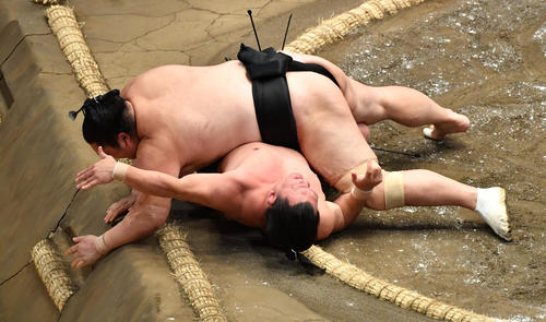 隠岐の海（上）は照強を浴びせ倒しで破る（撮影・柴田隆二）