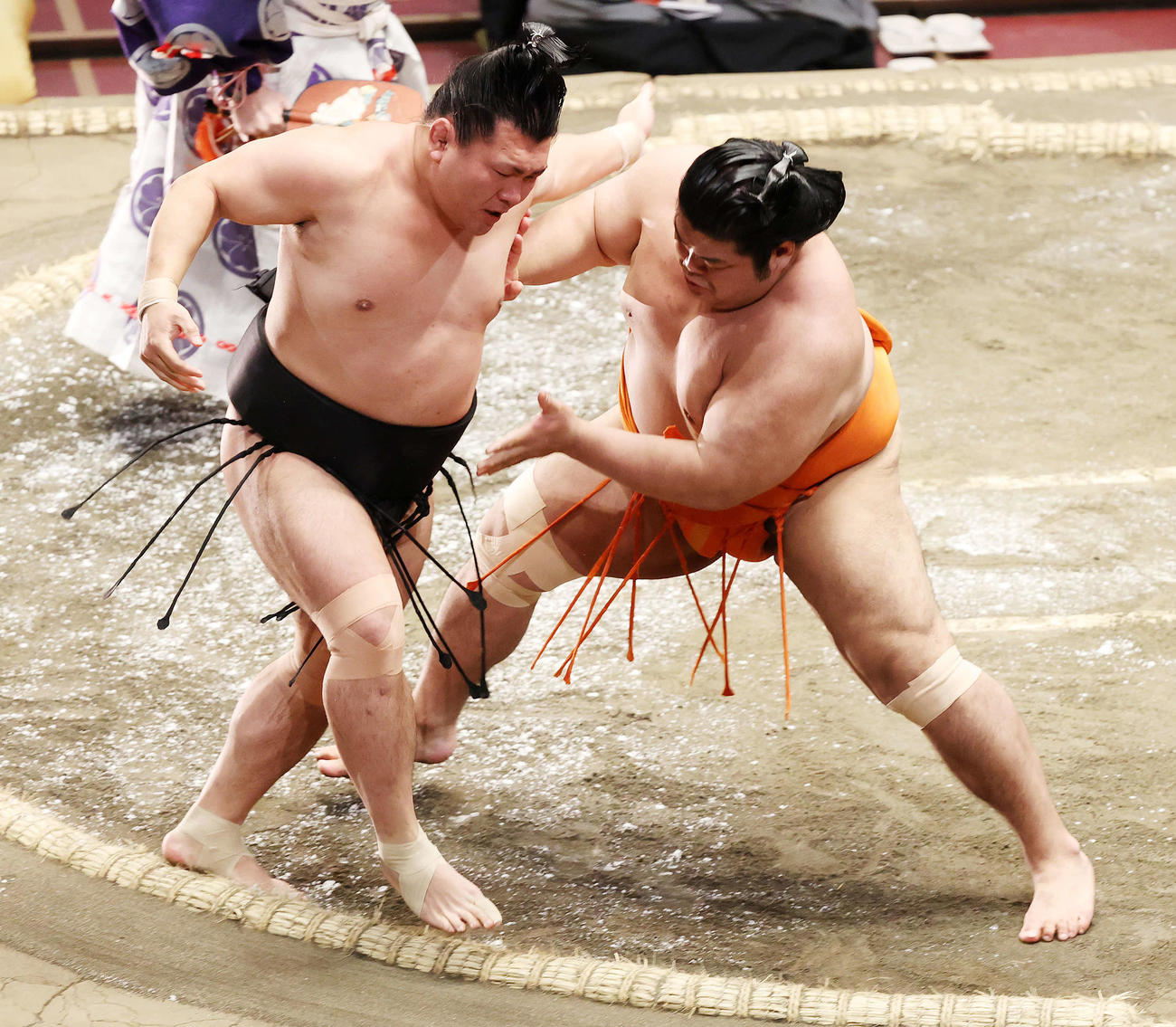 照強（左）を押し出しで破る志摩ノ海（撮影・鈴木正人）