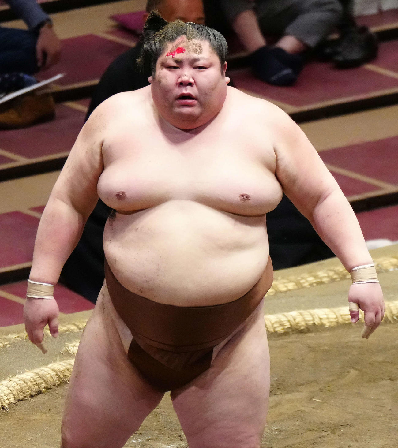 玉鷲に上手投げで敗れた剣翔（撮影・江口和貴）