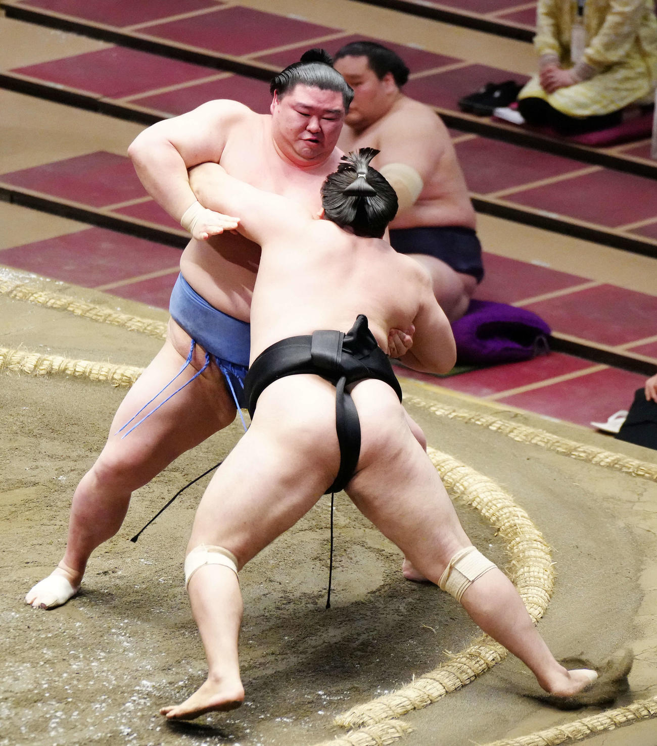 霧馬山（手前）を寄り切りで破る正代（撮影・江口和貴）