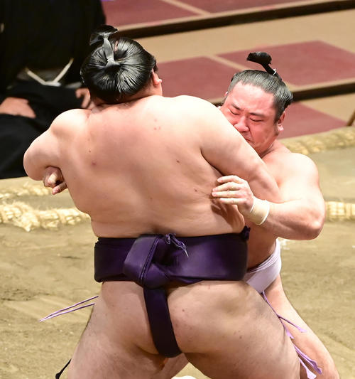 琴恵光(右)は大奄美を寄り切りで破る(撮影・小沢裕)