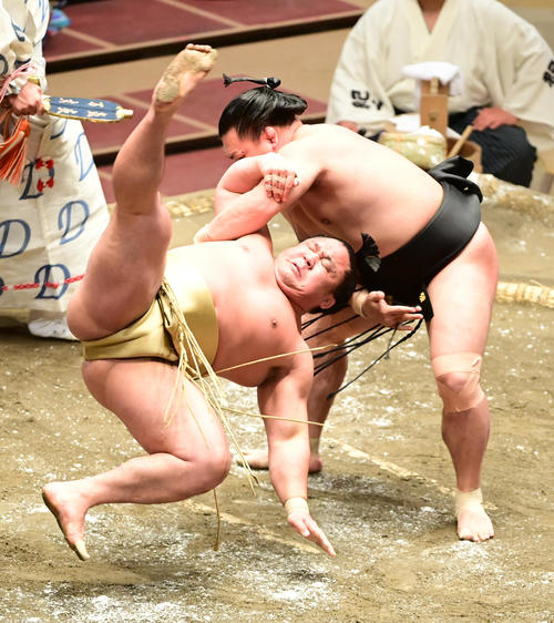 照強はすくい投げで石浦(左)を破る(撮影・小沢裕)