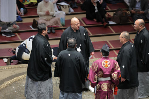 高安、照ノ富士の一番で物言いが付き、土俵に上がる親方衆（撮影・河田真司）