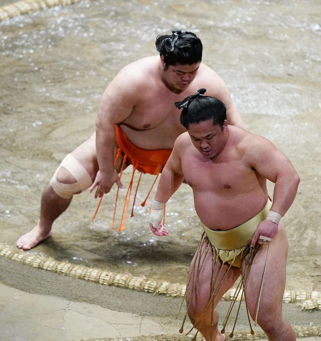 石浦（右）を押し出しで破る志摩ノ海（撮影・菅敏）