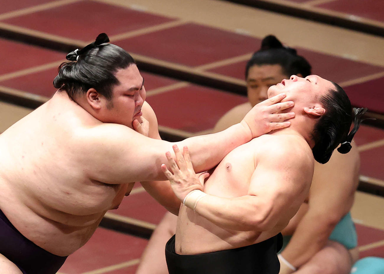 照強（右）を激しく攻める大奄美（撮影・鈴木正人）