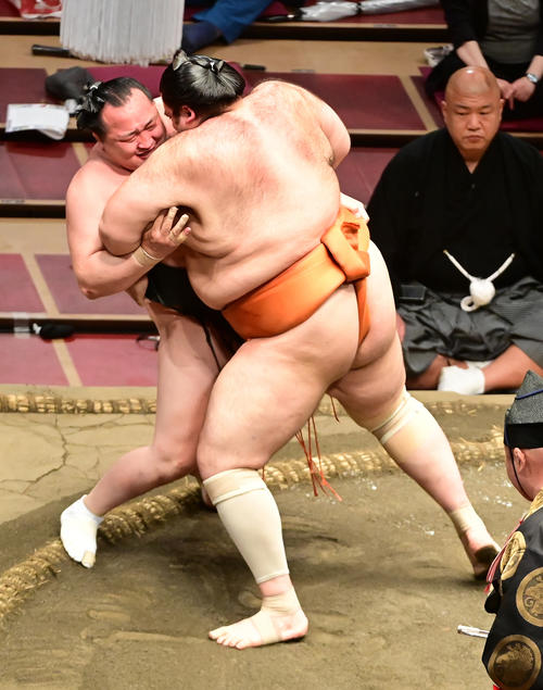 魁聖(右)は寄り切りで千代翔馬を破る(撮影・小沢裕)