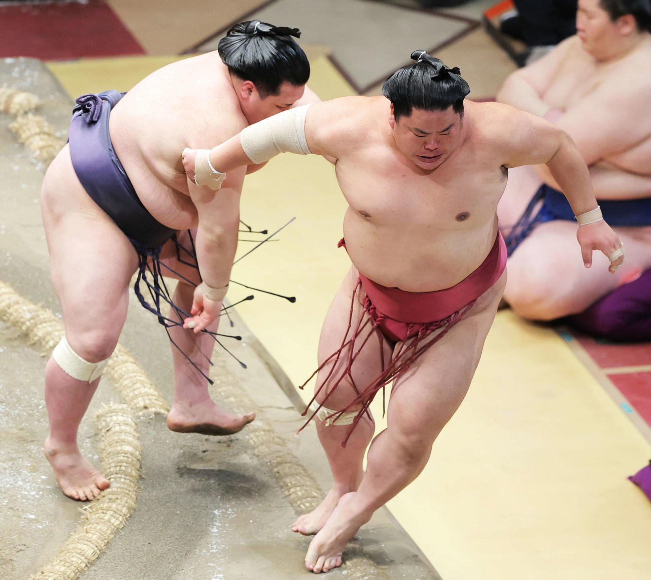 大栄翔（右）を寄り切りで破る阿武咲（撮影・河田真司）