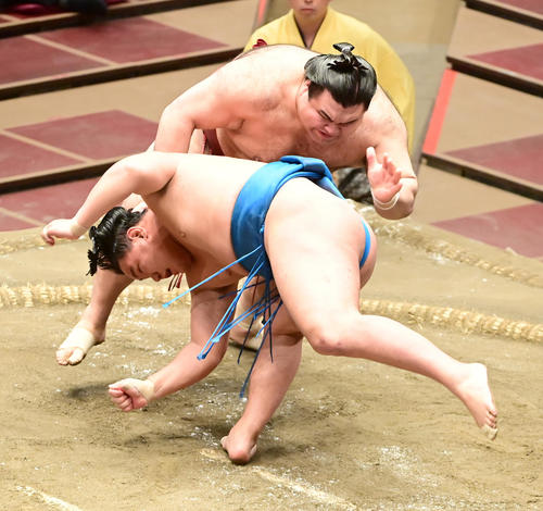 高安は豊昇龍（手前）をはたき込みで破る（撮影・小沢裕）