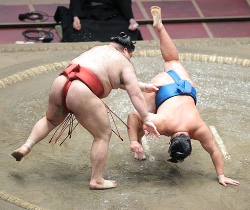 豊昇龍（右）をはたき込みで破る高安（撮影・河田真司）