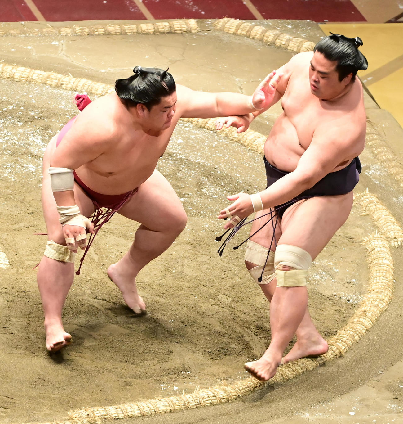 大栄翔（左）は突き落としで妙義龍を破る（撮影・小沢裕）
