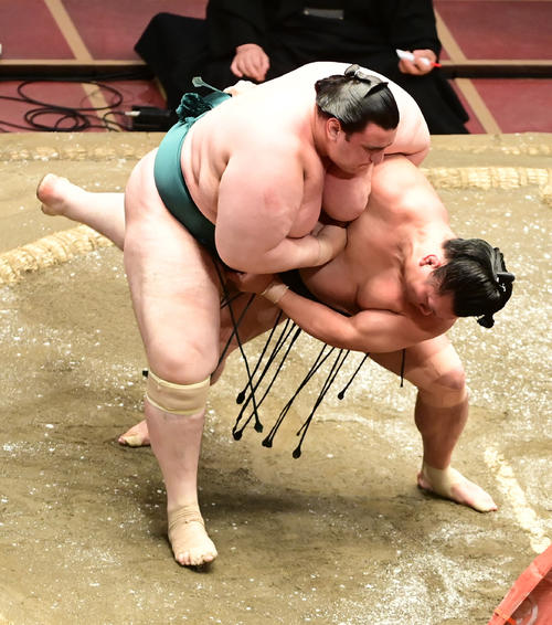 照強(右)は碧山を下手投げで破る(撮影・小沢裕)
