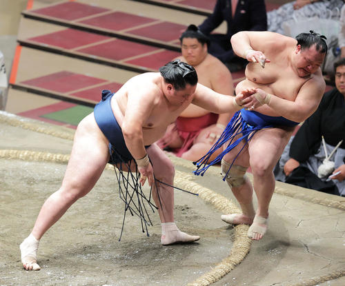 北勝富士(右)を押し出しで破る玉鷲(撮影・河田真司)