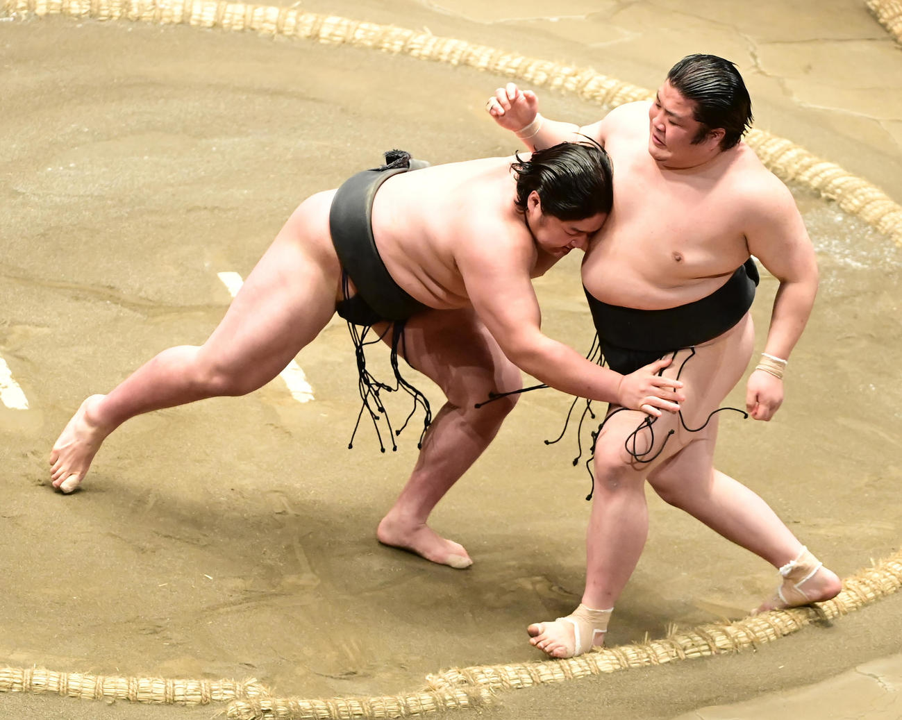 序ノ口優勝決定戦で藤青雲（左）は押し倒しで勝呂を破る（撮影・小沢裕）