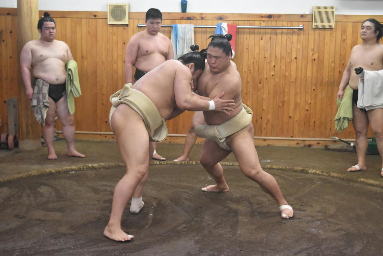 申し合い稽古で十両若元春（左）と相撲を取る前頭若隆景