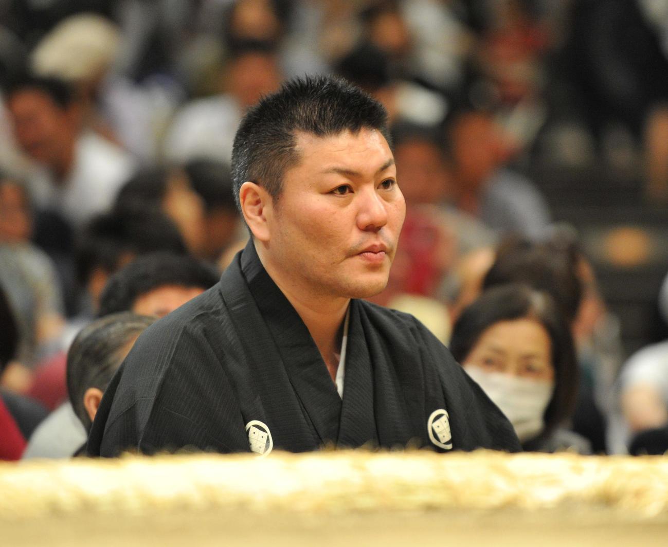 元音羽山親方（元光法）（2016年5月9日撮影）