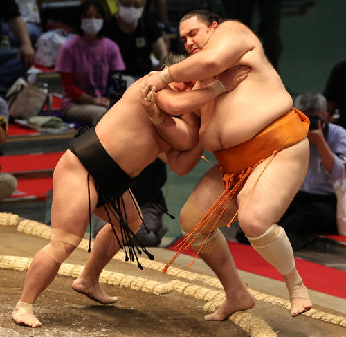魁聖を押し出した照強（左）（撮影・渦原淳）