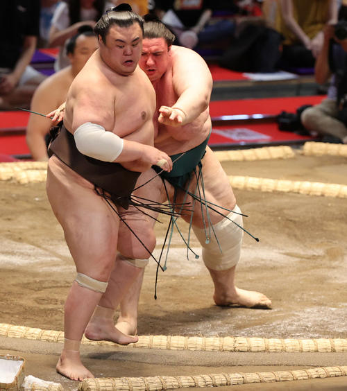 英乃海を押し出す碧山（右）（撮影・渦原淳）